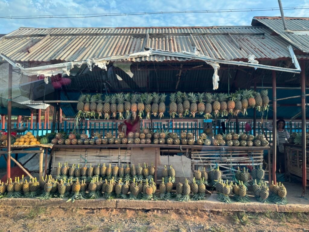 Pineapples are sold in a stall along the highway in Palawan, Philippines.