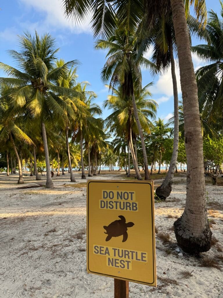 A note to travelers to avoid disturbing the sea turtle nests.